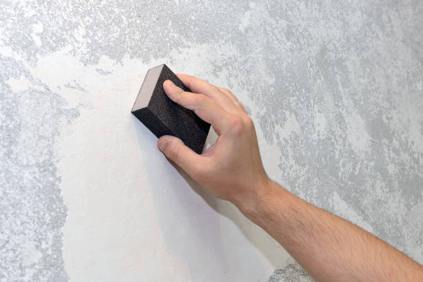 Best Environmental Consulting for Mold Prevention  in Fort Stockton, TX