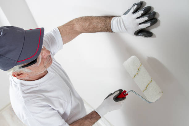 Trusted Fort Stockton, TX Mold Removal Experts