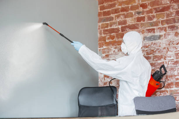 Best Commercial Mold Inspection  in Fort Stockton, TX
