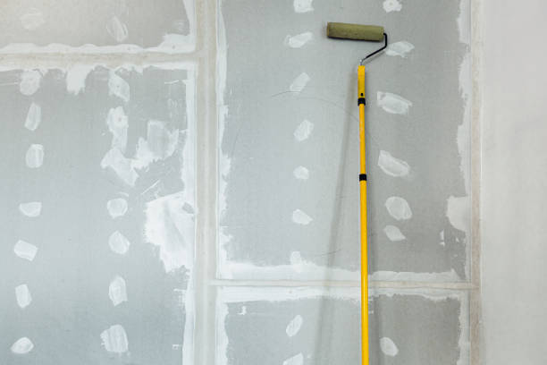 Best Mold Damage Restoration  in Fort Stockton, TX