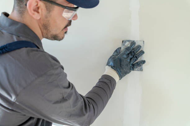Best Comprehensive Air Testing for Mold Contaminants  in Fort Stockton, TX