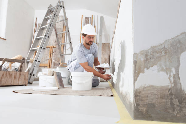 Best Emergency Mold Remediation  in Fort Stockton, TX