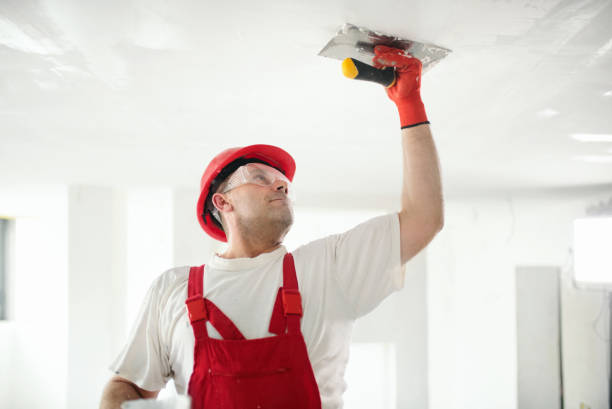 Best Industrial Mold Remediation  in Fort Stockton, TX