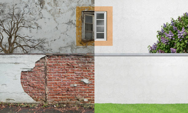 Best Mold Remediation for Rental Properties  in Fort Stockton, TX
