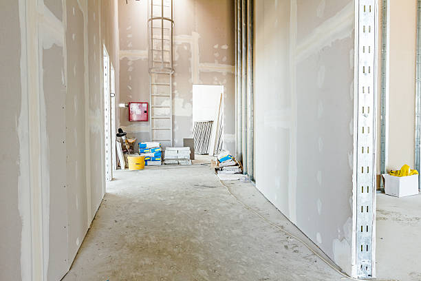 Best Mold Remediation for Healthcare Facilities  in Fort Stockton, TX